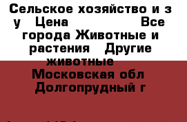 Сельское хозяйство и з/у › Цена ­ 2 500 000 - Все города Животные и растения » Другие животные   . Московская обл.,Долгопрудный г.